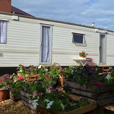 Camping U Babci Jozi Zator